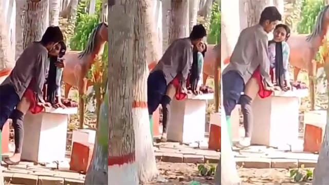Public Park Desi College Lover Fucking Viral Mms –  Indian Gaysite